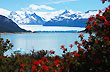 Perito Moreno Glacier - Photo: Jorge Gonz�lez