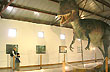 Ernesto Bachmann Municipal Museum - Photo: Jorge Gonz�lez