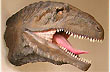 Mortal jaw - Photo: Jorge Gonz�lez