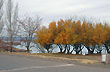 The fall in the village - Photo: Jorge Gonz�lez
