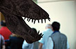 An impressive past, Ernesto Bachmann Paleontologic Museum - Photo: Eduardo Epifanio