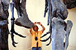 Photographing the past - Photo: Eduardo Epifanio