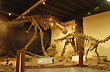 Dinosaur show - Photo: Jorge Gonz�lez