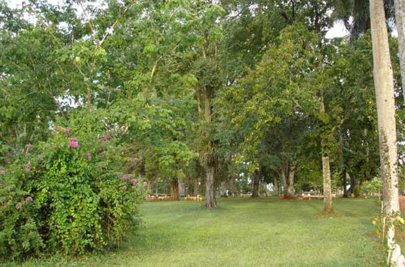 Nature and recreation - Author: Municipalidad de El Dorado
