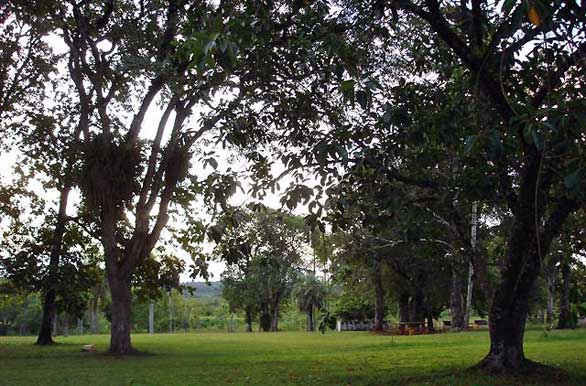 Parque Schwelm - Author: Municipalidad de El Dorado