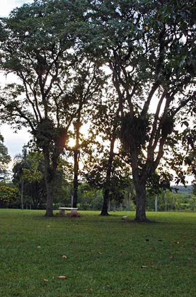 Schwelm Park - Author: Municipalidad de El Dorado
