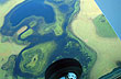 Lagoons and marshlands - Photo: Pablo Etchevers