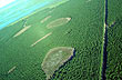 Endless dimensions of the wetlands - Photo: Pablo Etchevers