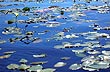 Bright waters in Corrientes - Photo: Pablo Etchevers