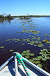 Corrientes beauty - Photo: Pablo Etchevers