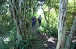 Iber� Woodland - Photo: Pablo Etchevers