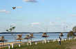 M�rgenes del lago de Salto Grande - Foto: Pablo Etchevers