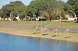 Recreos en el lago - Photo: Jorge Gonz�lez