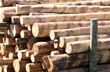 Industria de la madera - Foto: Pablo Etchevers