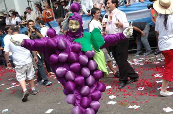 Vestuario aleg�rico - Autor: Pablo Etchevers