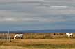 Estancia La Angostura - Photo: Liliana Costas y Luis Quezada / Direcci�n de Turismo de Gobernador Gregores