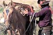 Preparandose para una jornada rural - Photo: Secretaría de Turismo de Goya Preparandose para una jornada rural - Photo: Secretaría de Turismo de Goya