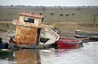 River scene - Photo: Jorge Gonz�lez