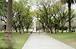 Constituci�n Square - Photo: Jorge Gonz�lez