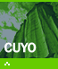 Cuyo