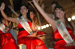 Grape Harvest Festival 2012