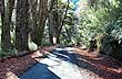 On the way to Carirri�e Pass - Photo: Jorge Gonz�lez