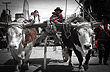 Parade in town - Photo: Eduardo Epifanio