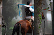 Standard bearer at the National Camp Tender's Festival - Photo: Eduardo Epifanio