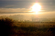 Pastoral scene - Photo: Eduardo Epifanio