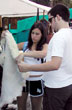 Shopping at the Camp Tender Festival - Photo: Santiago Gaudio