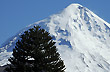 Lan�n Volcano - Photo: Jorge Gonz�lez