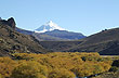 Autumn on the Malleo River - Photo: Jorge Gonz�lez