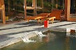 Lahuen C� Hot Springs detail - Photo: Jorge Gonz�lez