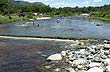 San Jer�nimo River banks - Photo: Pablo Etchevers