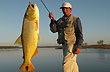 Buen ejemplar de dorado - Foto: Jorge Gonz�lez