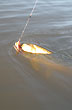 Pezca de dorado - Foto: Jorge Gonz�lez