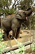 Zoológico de la ciudad - Photo: Pablo Etchevers Zoológico de la ciudad - Photo: Pablo Etchevers