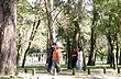 Paseo en el bosque - Photo: Pablo Etchevers Paseo en el bosque - Photo: Pablo Etchevers