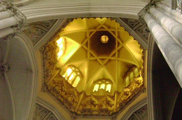 7000 m2 de superficie, Catedral de La Plata