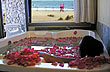 Jacuzzi, pétalos y el mar - Foto: Pablo Etchevers Jacuzzi, pétalos y el mar - Foto: Pablo Etchevers
