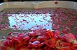 Rosas... - Foto: Pablo Etchevers Rosas... - Foto: Pablo Etchevers