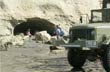 Excursi�n por la playa - Foto: Jorge Gonz�lez