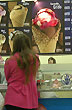 Helados y colores - Foto: Jorge Gonz�lez