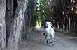 Cabalgando en el bosque - Foto: Karina Jozami