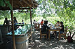 Almuerzo en los vi�edos - Foto: Pablo Etchevers