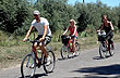 A las bodegas en bicicleta - Foto: Pablo Etchevers