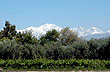 Paisaje cuyano - Foto: Pablo Etchevers