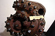 Tr�pano en el Museo - Foto: Marcelo Sola