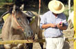 Haciendo cuentas - Photo: Pablo Etchevers