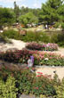 Jard�n de rosas - Photo: Pablo Etchevers